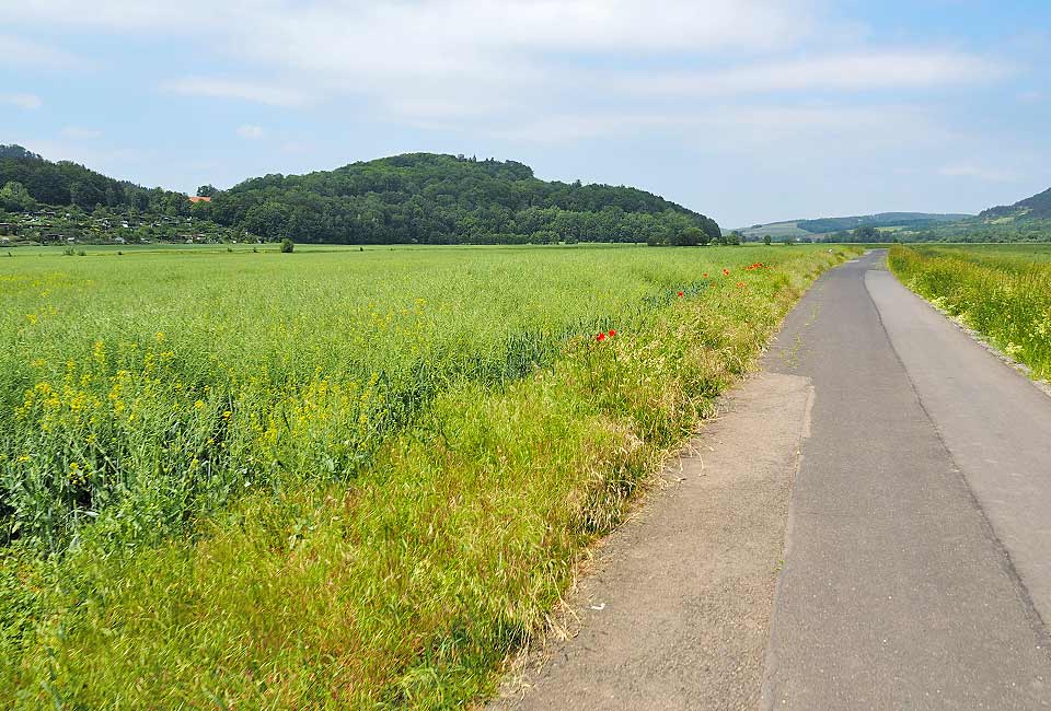 Im breiten Tal vor Wasungen