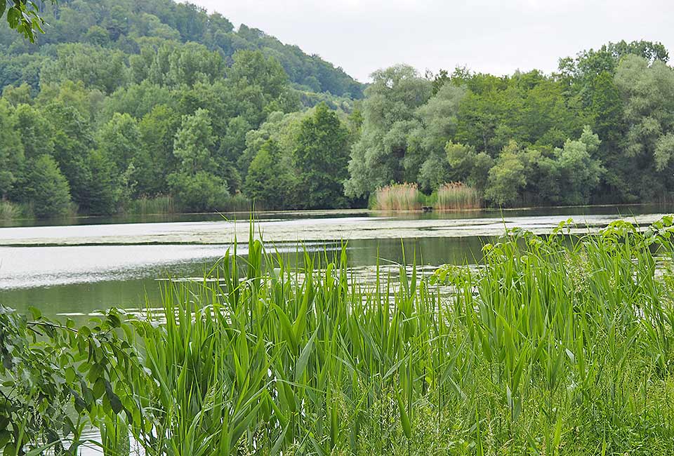 Balzerbornsee bei Bad Sooden