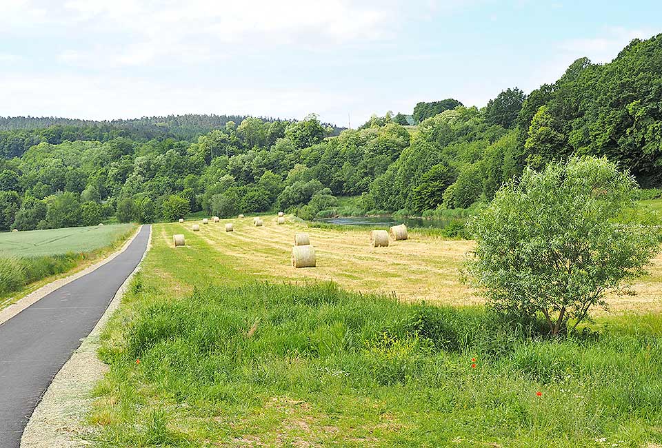 Friedenslinde in Wahlhausen