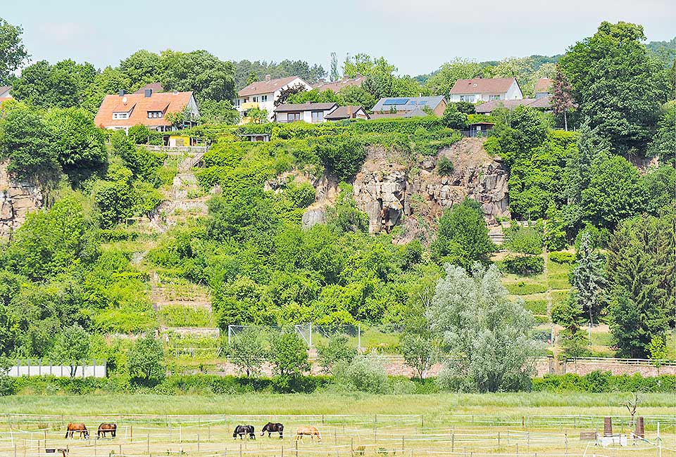 Weinberge Witzenhausen