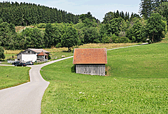 Anstieg in den Wald