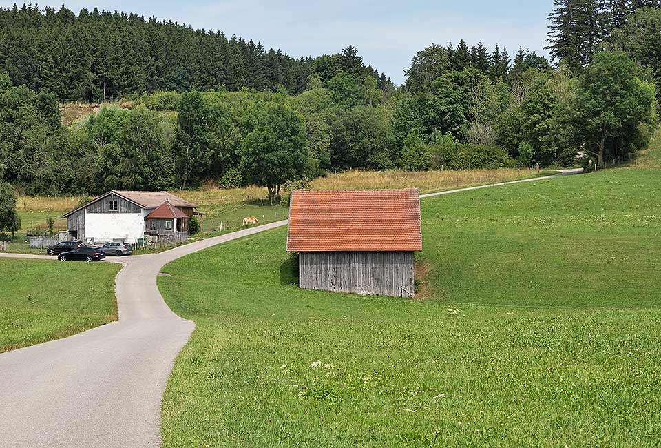 Anstieg in den Wald