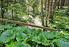 Brücke über den Obbach