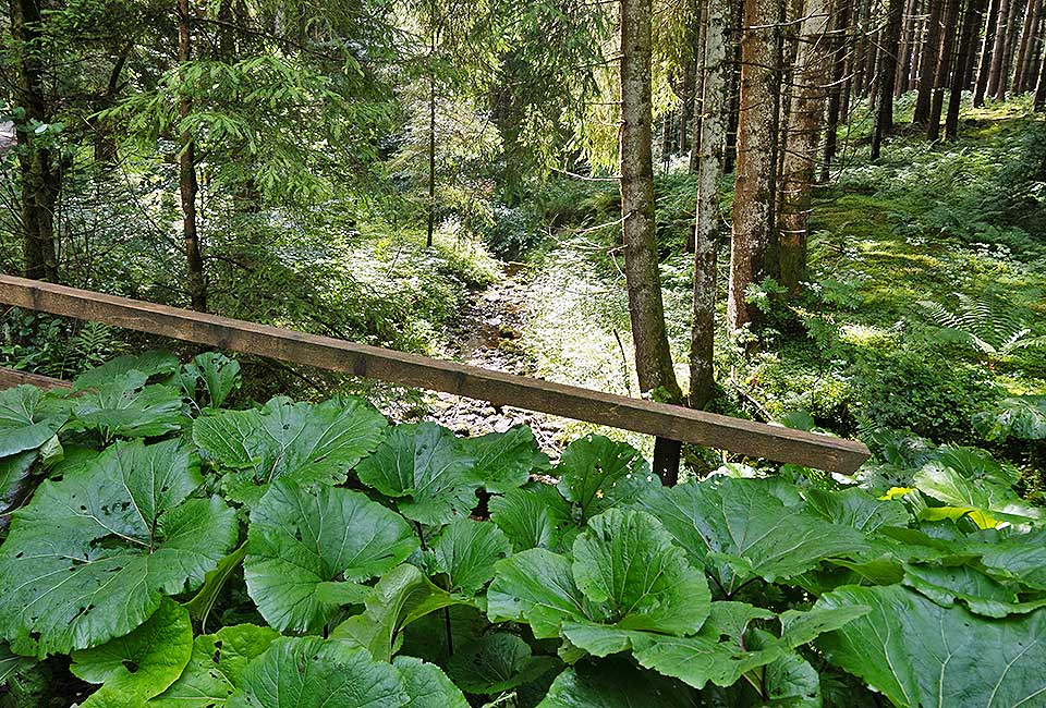 Brücke über den Obbach