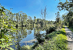 Schlingener See