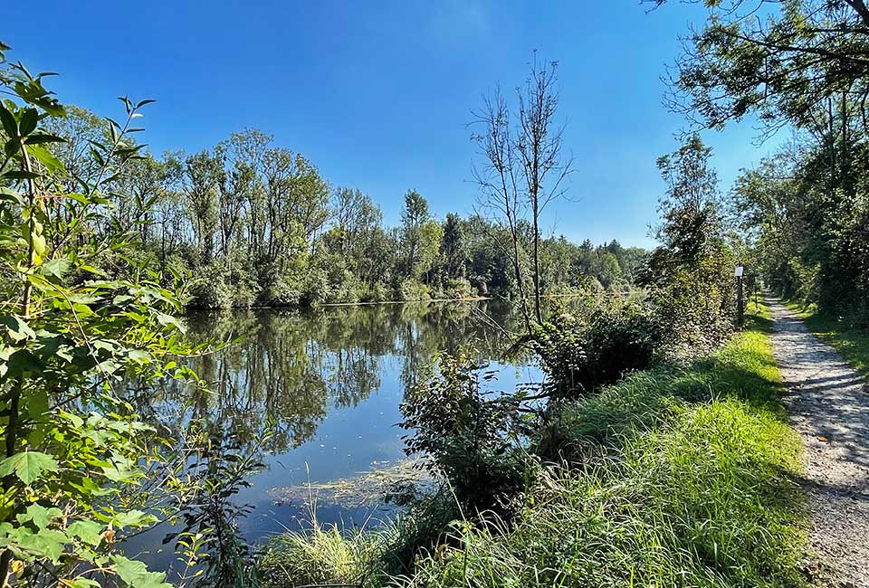 Schlingener See