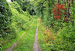 Naturbelassener Radweg