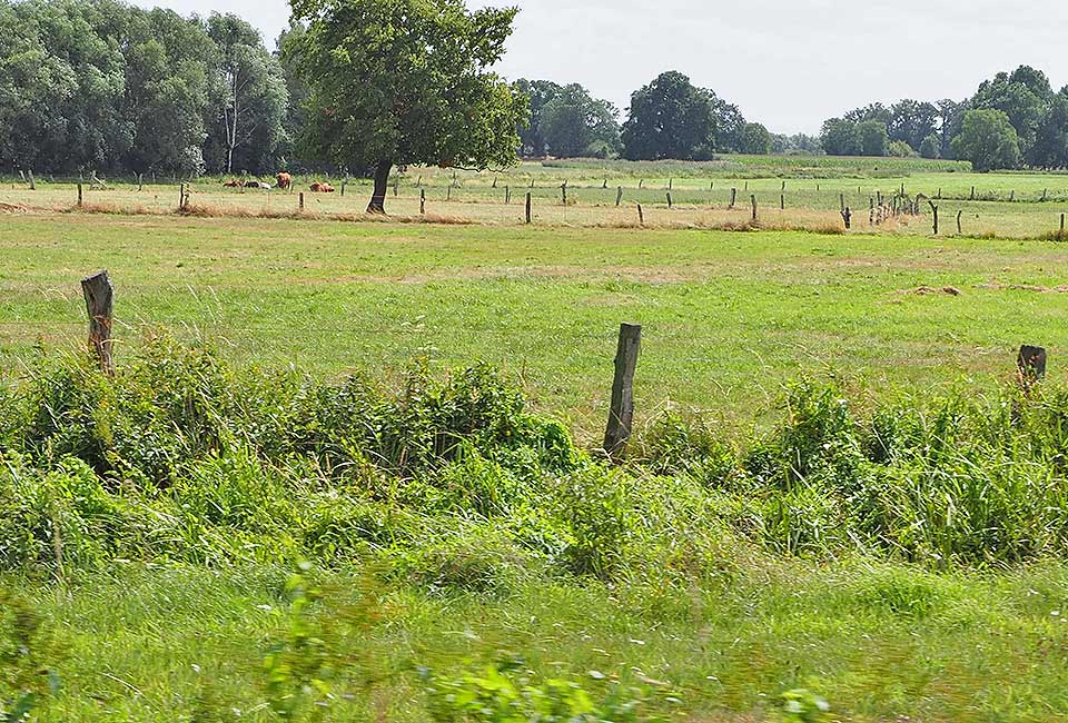 Landschaftsbetonte Strecke