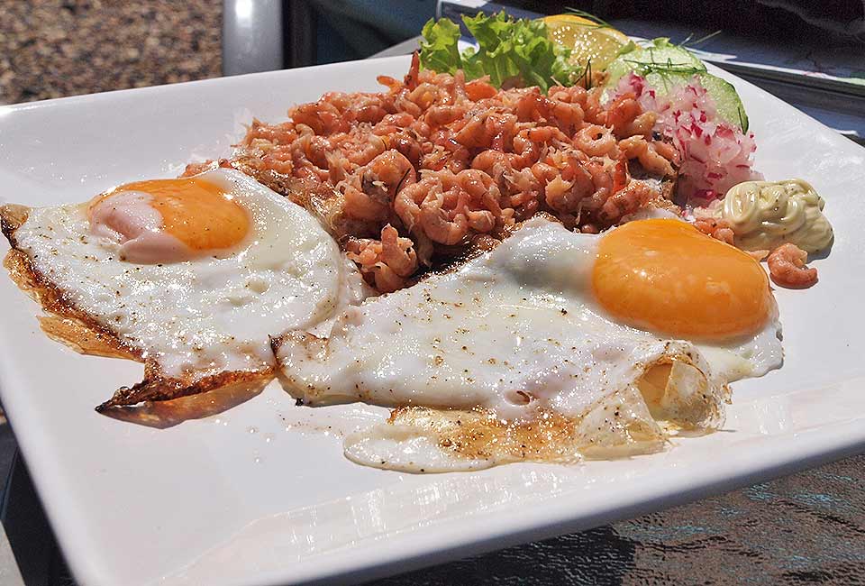 Spezialität Krabben - Seehund