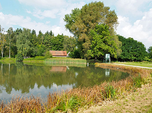 Der Kaltenbronnweiher