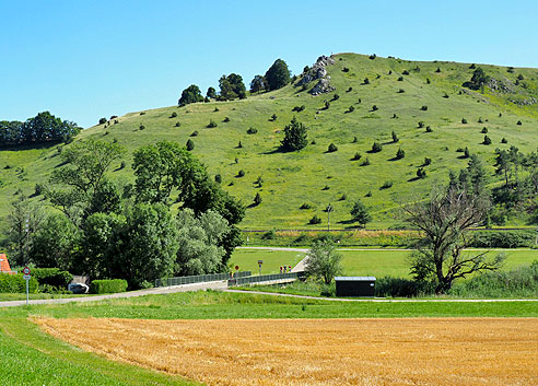 
Rollenberg bei Hoppingen