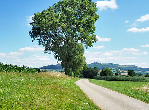 Radweg vor Ruffenhofen