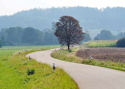 Ruhige Straße