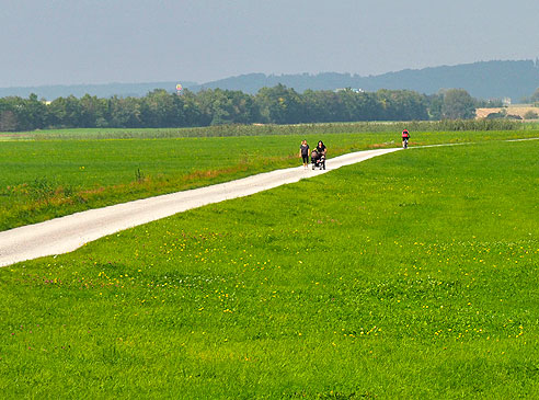 Radweg im Tal bei Tribur