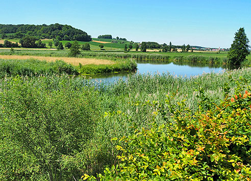 Wasserreiche Wörnitz