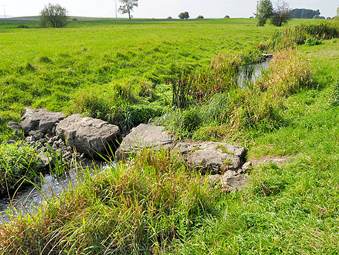 Kleiner Zufluss in die Altmühl