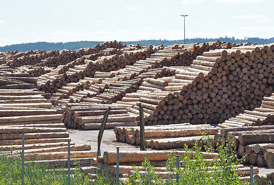 Riesiger Holzlagerplatz bei Wilburgstetten