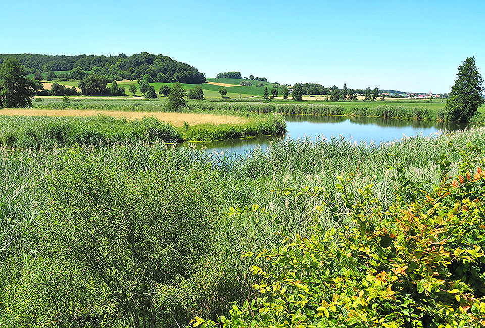 Wasserreiche Wörnitz