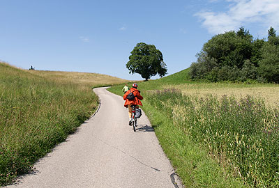 Bergauf zum Loherberg