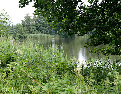 Seenreiche Landschaft