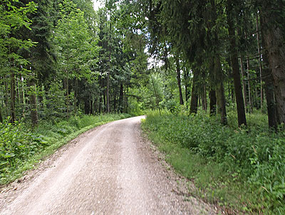 Kilometerweit auf dem Jakobsweg