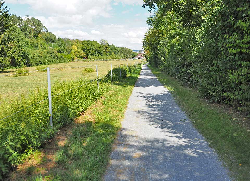 Im Ortsteil Silberberg folgen wir dem Wasserbachtal