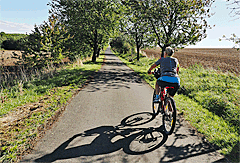 Weide vor Oberroßla