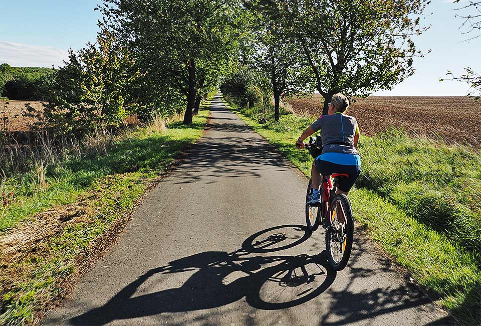 Allee vor Oberroßla