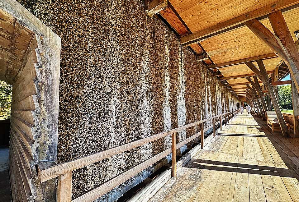 Gradierwerk Wandelgang