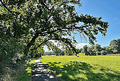 Parklandschaft um Weimar