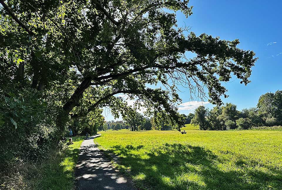 Parklandschaft um Weimar