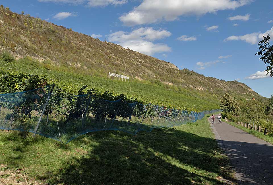 Radweg entlang der Weinberge