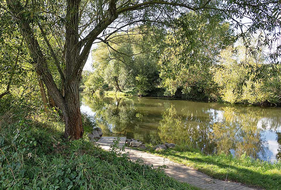 Blick auf die  Saale
