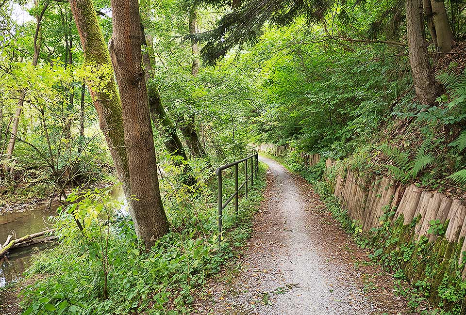 Naturbelassener Streckenabschnitt hinter Tannroda