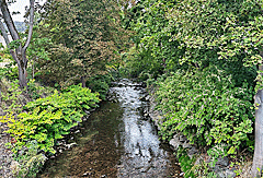 Die Ilm ist noch klein