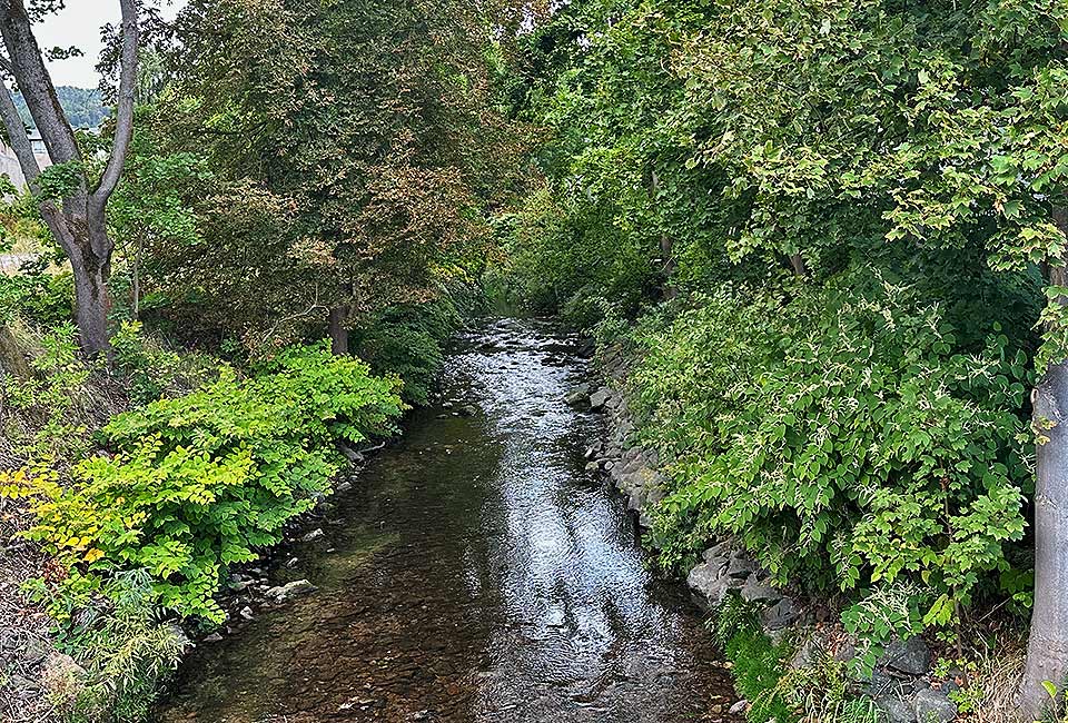 Die Ilm ist noch klein