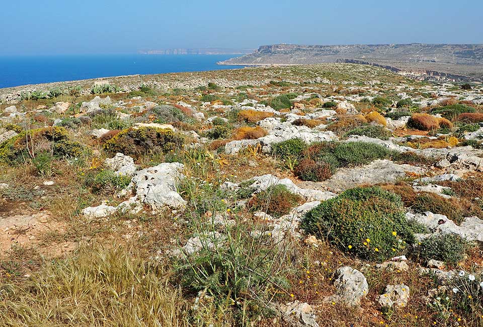 Blick auf die Nachbarinsel Gozo