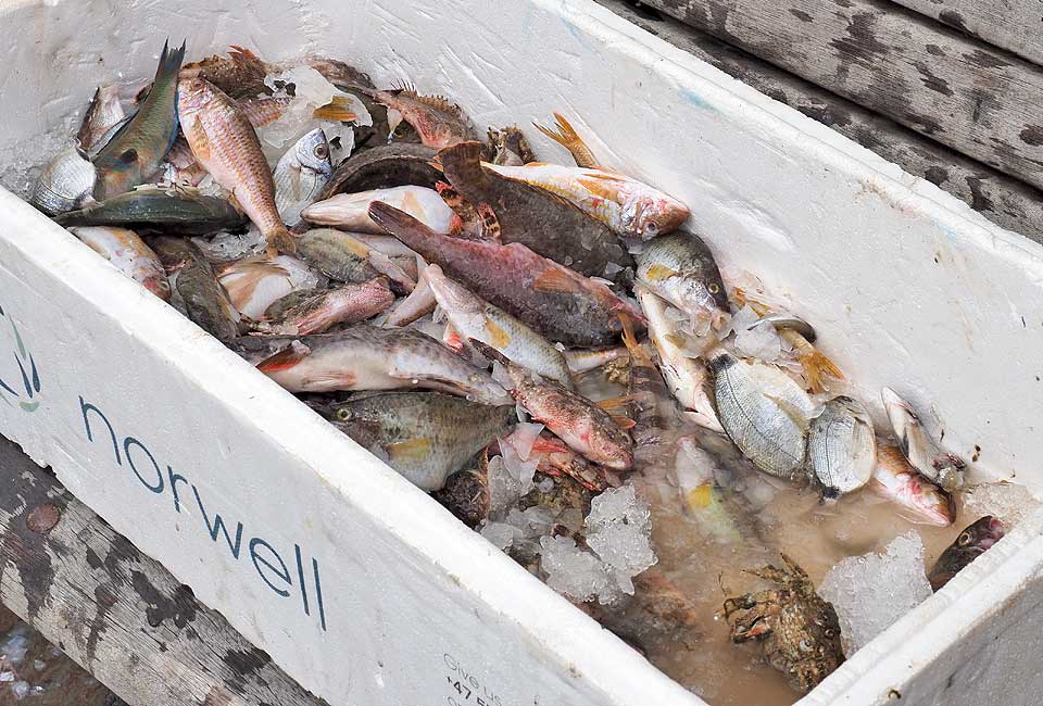 Auf dem Fischmarkt wird der tägliche Fang gleich verkauft