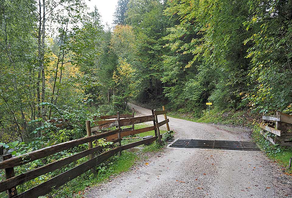 Verkehrsfreie Variante