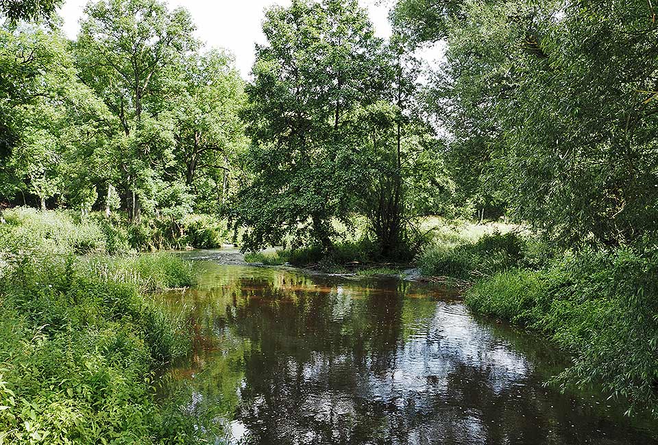 Brücke über die Brend