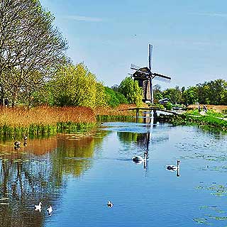 Zahlreiche Mühlen in Holland