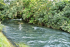 Glasklarer Fluss Blau
