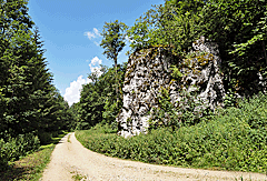 Felsen Urdonautal