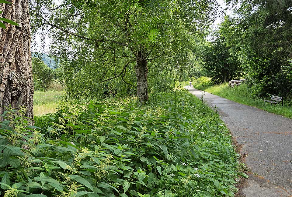 Idyllischer Weg Idyllischer Weg