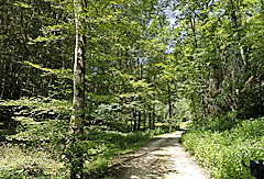 Radweg Tiefenthal