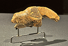 Urgeschichtliches Museum Blaubeuren