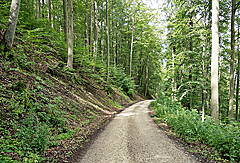 Steile Abfahrt