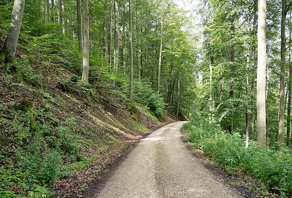 Steile Abfahrt nach Neidlingenn Steile Abfahrt nach Neidlingen