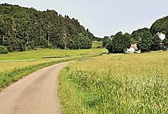 Es geht wieder bergauf