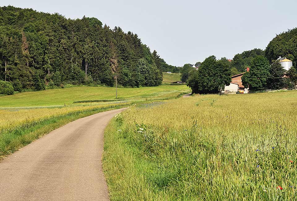 Es geht wieder bergauf Es geht wieder bergauf